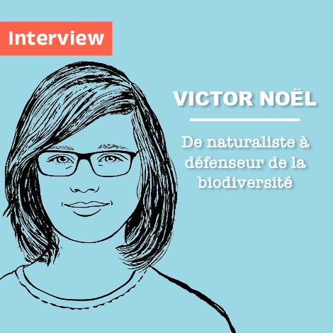 Victor Noël, de naturaliste à défenseur de la biodiversité